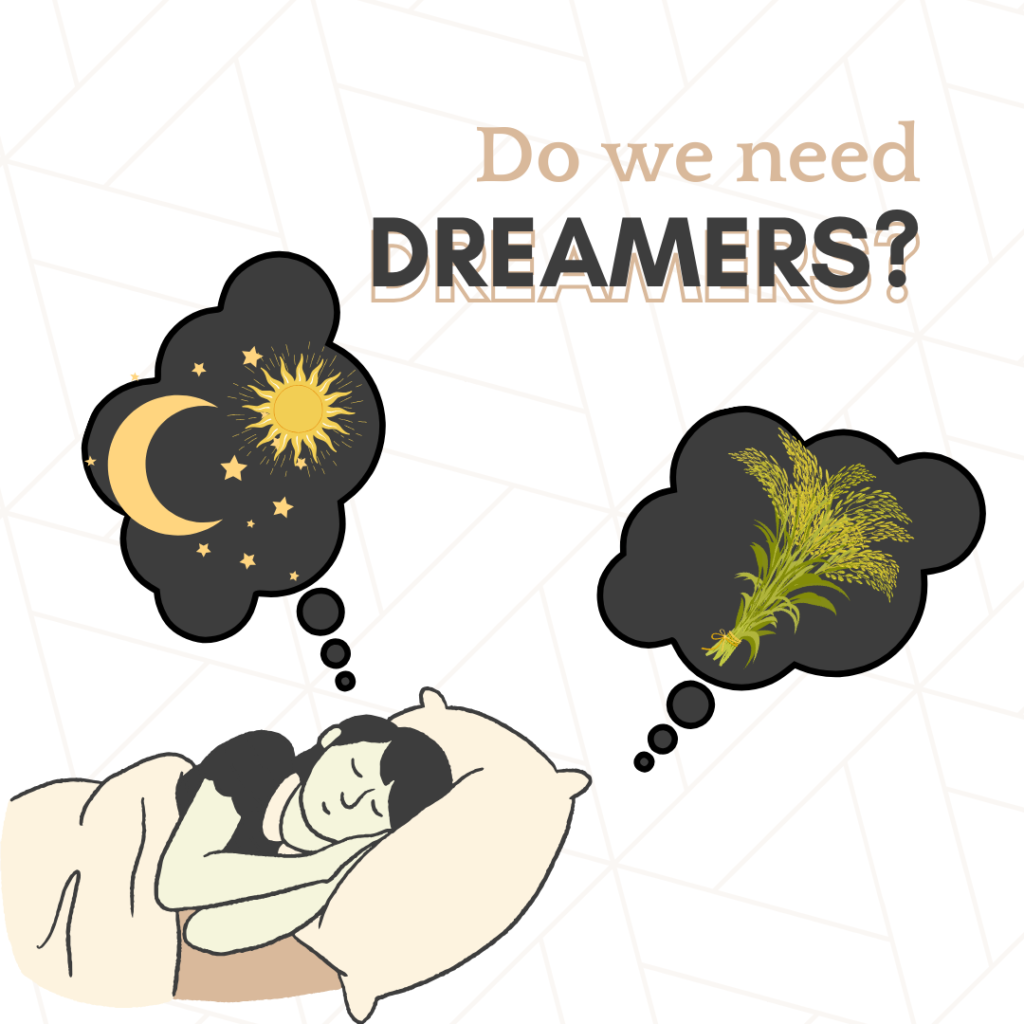 Do we need Dreamers